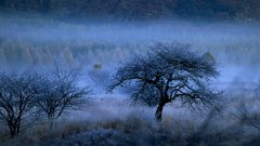 Fog high Ville Resolution