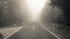 Fog mist roads