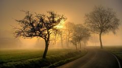 Fog mist roads nature
