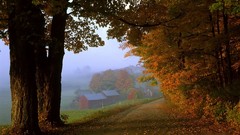Fog morning mist buildings