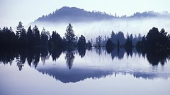 Fog nature lakes