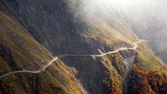 Fog nature roads georgia