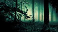 Fog nature smoke forests