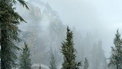 Fog nature the elder scrolls v skyrim wildlife