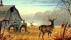 Fog nature Trees Birds deer barn farm fences Competition mist