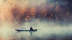 Fog nature Trees fishing Plants Boats lakes