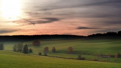 Fog nature Trees grass germany mist fields