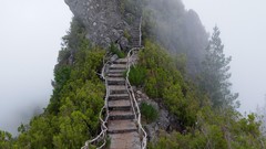 Fog nature Trees Mountains paths