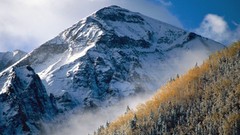 Fog nature Trees snow Mountains forests