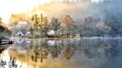 Fog nature water forests