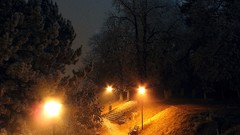 Fog nature winter night light Parks romania walk cities