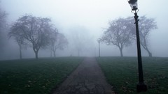 Fog paths