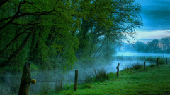 Fog river Green grass