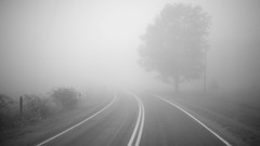 Fog roads