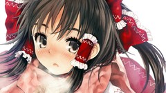 Fog scarfs blush brown eyes brunettes hakurei reimu touhou hair 