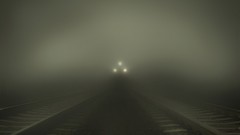 Fog trains