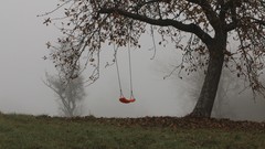 Fog Trees autumn abandoned mist swings