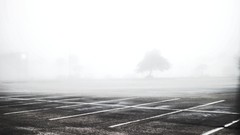 Fog Trees black and white parking monochrome