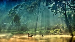 Fog Trees Boats lakes forests