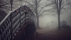 Fog Trees Bridges mist