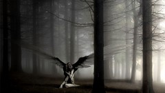 Fog Trees dark angels forests fantasy art