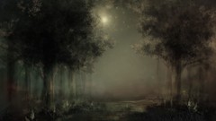 Fog Trees dark Plants