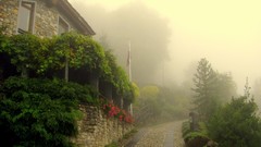 Fog Trees Flags roads buildings rivers Villages towns