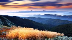 Fog Trees grass Mountains dawn rocks HDR Photography