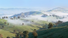 Fog Trees hills sunny countryside