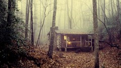 Fog Trees houses mist forests