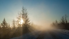 Fog Trees snow roads mist sunlight