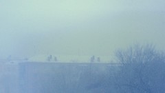 Fog Trees snow winter blizzard mist