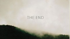 Fog Trees text Typography mist forests