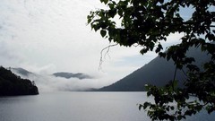 Fog Trees water Mountains clouds Japan