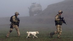 Fog War white Dogs Army soldiers military pair German dingo 