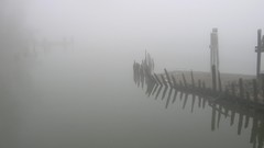 Fog water