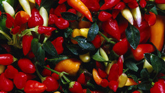 Food and Drinks food