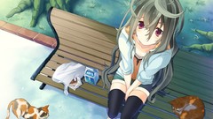 Food bench red eyes long hair anime girls gray hair thigh highs