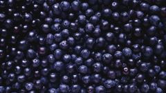 Food blueberries blueberry Food