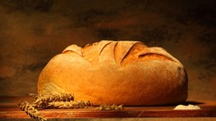 Food bread