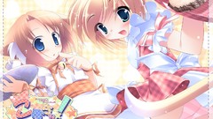 Food cafe Anime costume blue eyes waitress kagura animal ears 