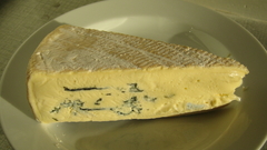 Food cheese Food and