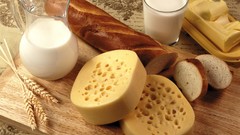 Food cheese milk