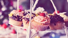 Food chocolate muffins