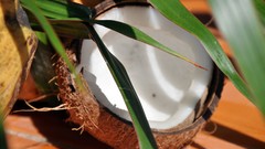 Food coconut flora