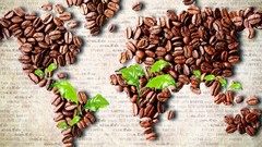 Food Coffee Beans world map