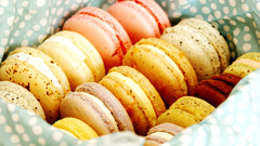 Food cookies desserts macaron