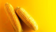 Food corn vegetables yellow background
