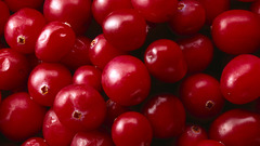 Food cranberries Food and
