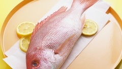 Food fish Aquarium and